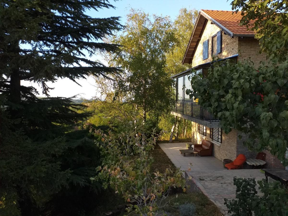 Lodging Vidmar Sremski Karlovci Bagian luar foto