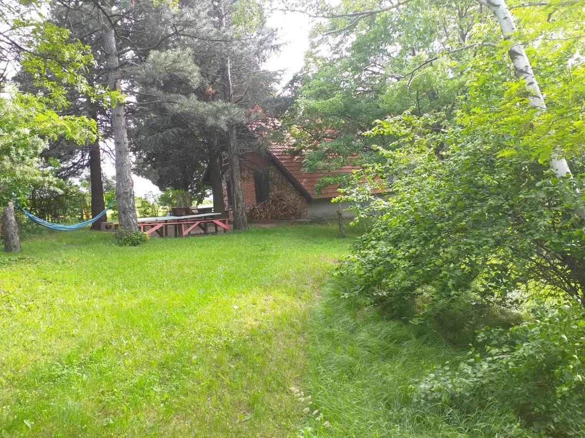 Lodging Vidmar Sremski Karlovci Bagian luar foto