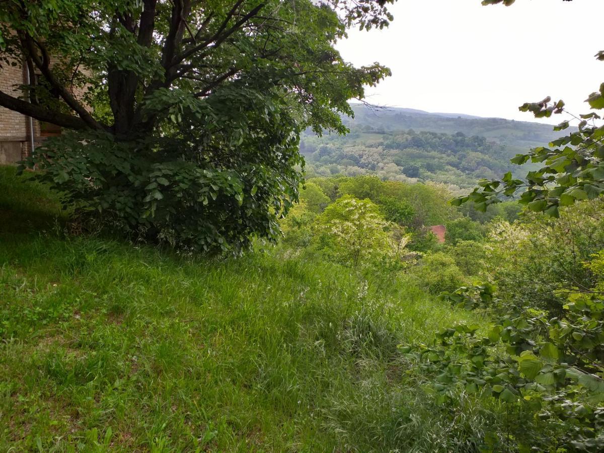 Lodging Vidmar Sremski Karlovci Bagian luar foto