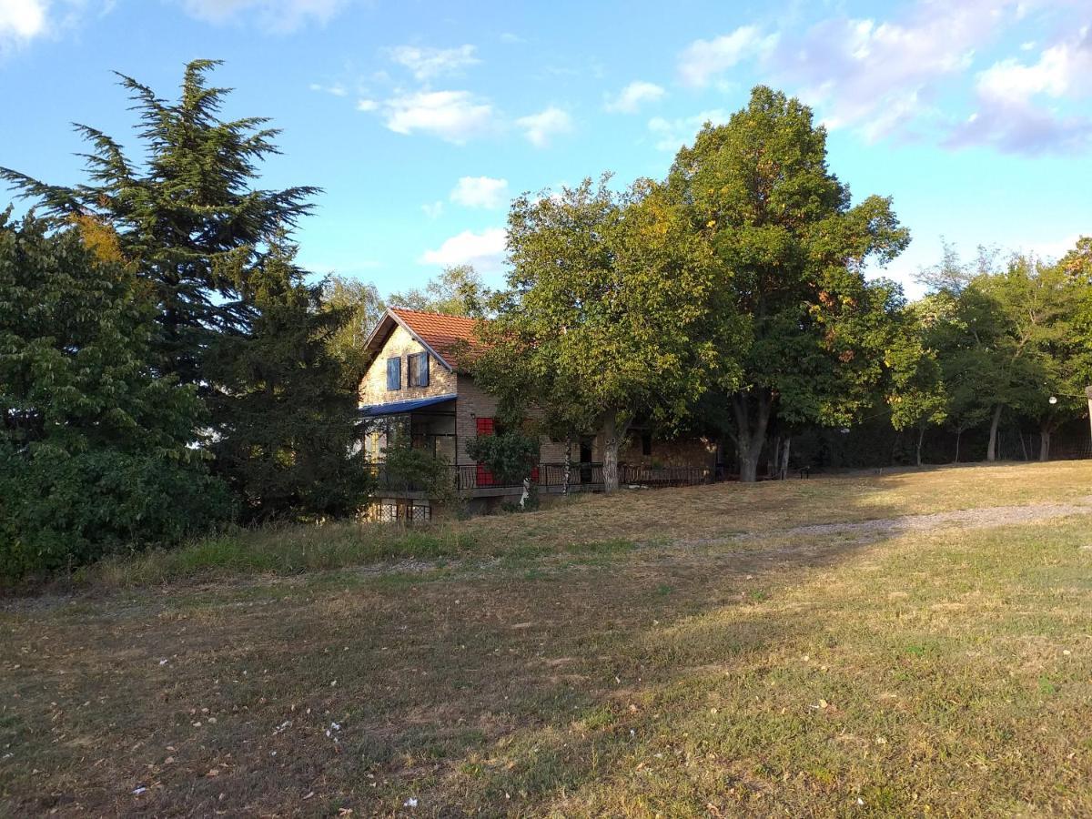 Lodging Vidmar Sremski Karlovci Bagian luar foto