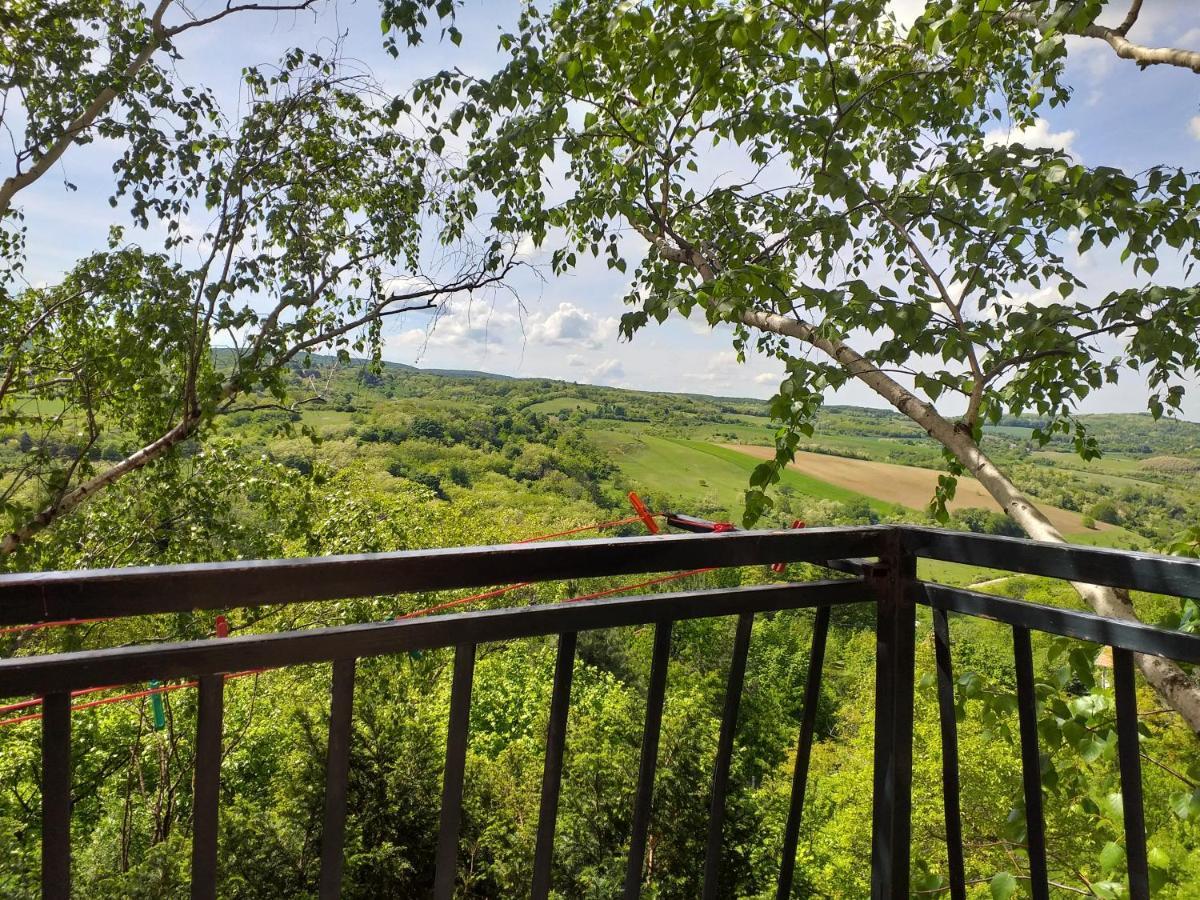 Lodging Vidmar Sremski Karlovci Bagian luar foto