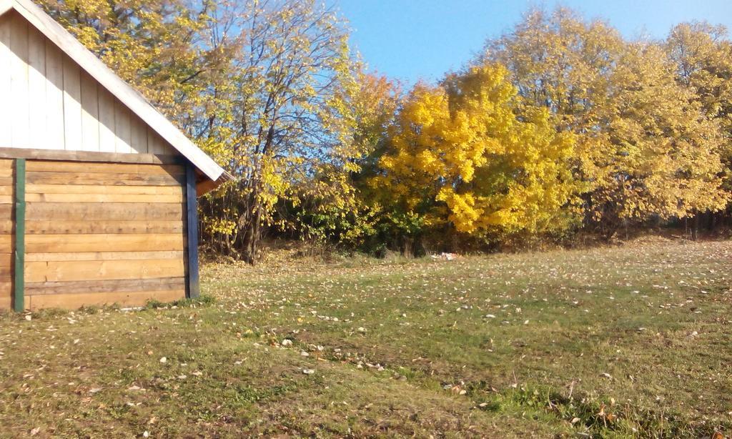 Lodging Vidmar Sremski Karlovci Ruang foto