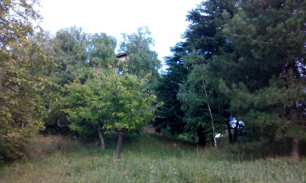 Lodging Vidmar Sremski Karlovci Ruang foto