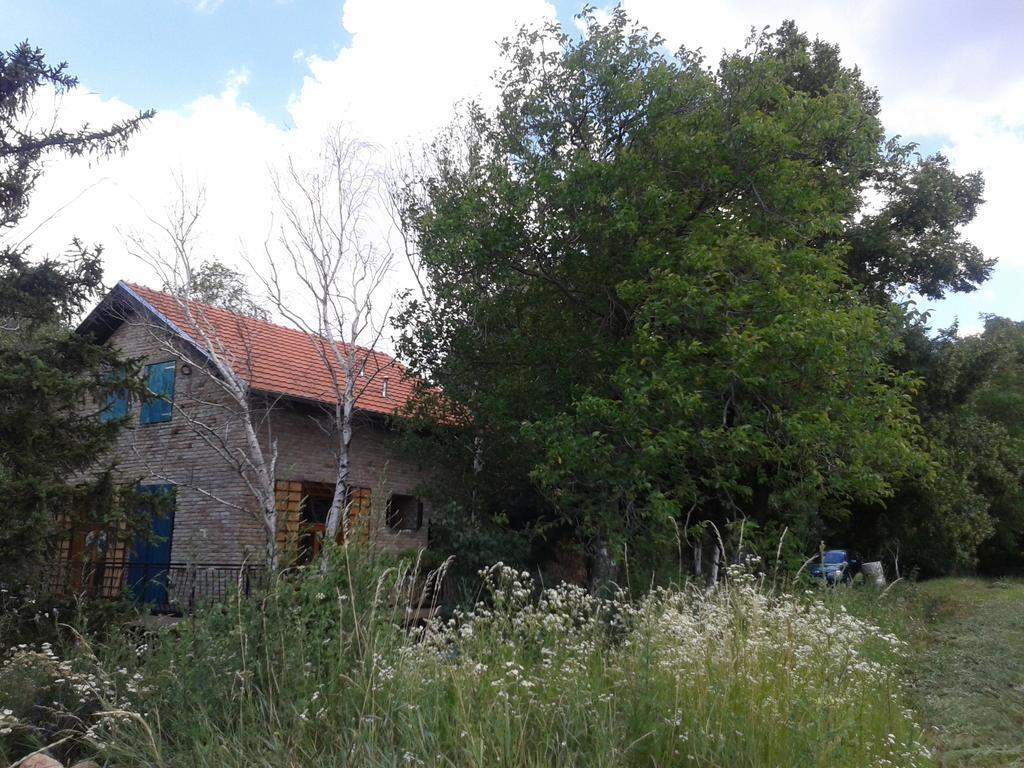 Lodging Vidmar Sremski Karlovci Bagian luar foto