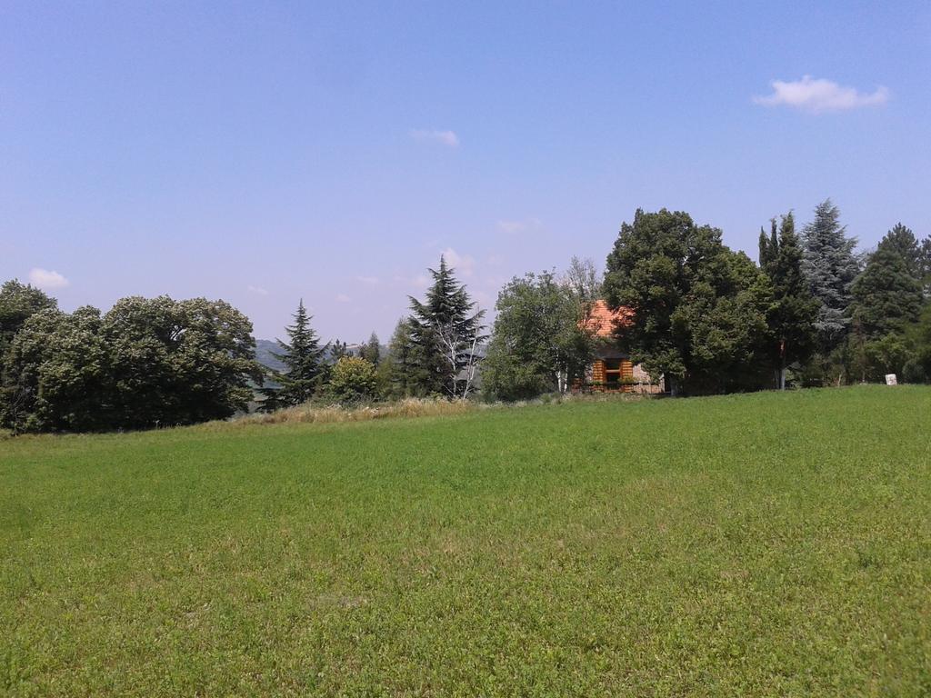 Lodging Vidmar Sremski Karlovci Ruang foto