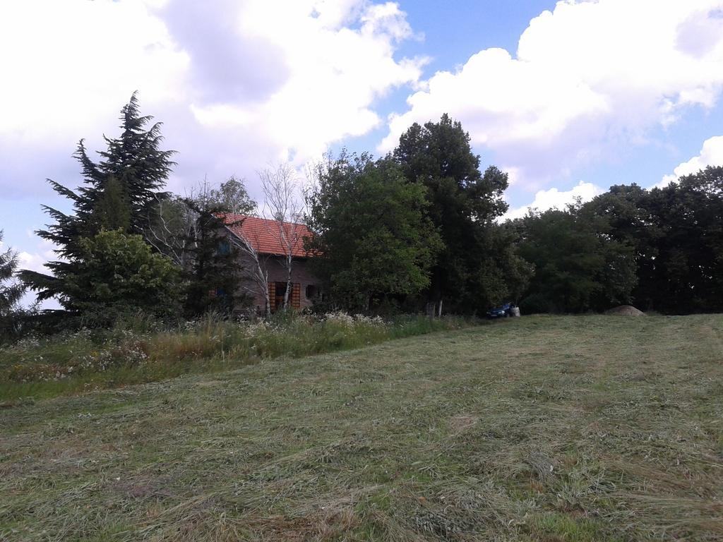 Lodging Vidmar Sremski Karlovci Bagian luar foto