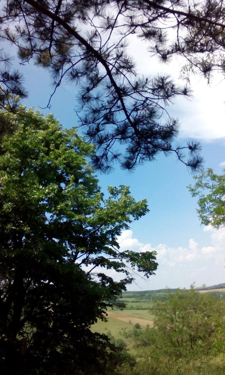 Lodging Vidmar Sremski Karlovci Bagian luar foto