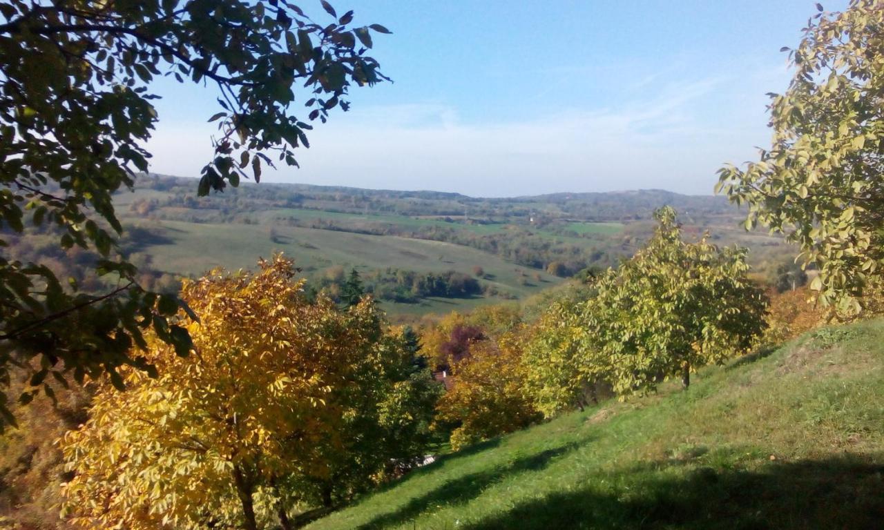 Lodging Vidmar Sremski Karlovci Bagian luar foto