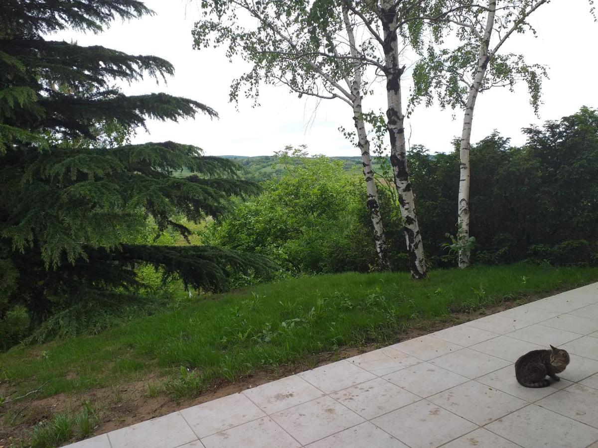 Lodging Vidmar Sremski Karlovci Bagian luar foto